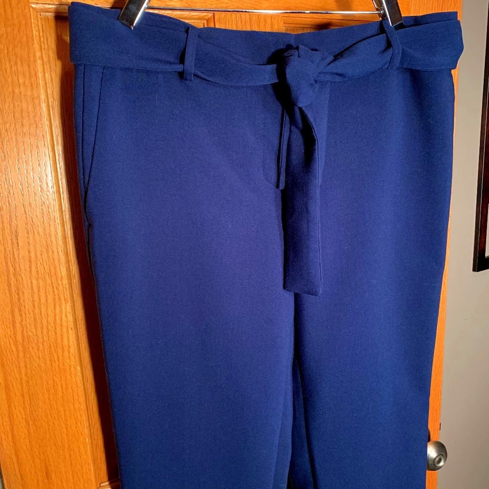 Ann Taylor Ankle Length Belted Trousers